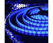 Светодиодная лента SMD 3528-30 led / IP20 Синий